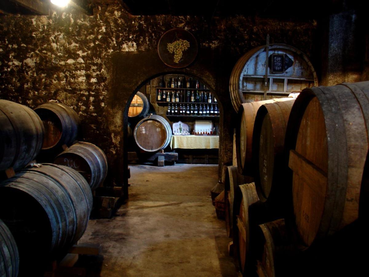 Le Relais De Saint-Preuil, The Originals Relais Vignes Du Cognac Ξενοδοχείο Εξωτερικό φωτογραφία