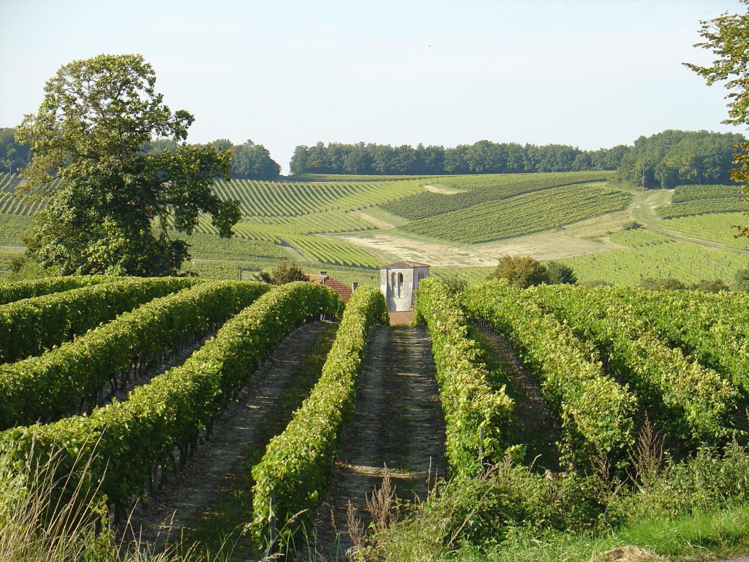 Le Relais De Saint-Preuil, The Originals Relais Vignes Du Cognac Ξενοδοχείο Εξωτερικό φωτογραφία
